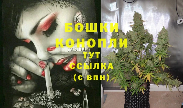 дмт Россошь